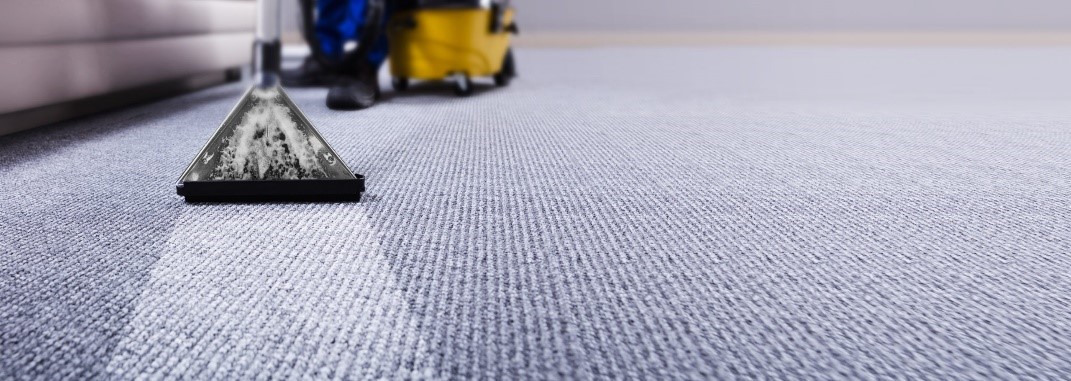Importance of Carpet Cleaning